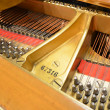 1889 Artcase Steinway. One-of-a-Kind masterpiece - Grand Pianos